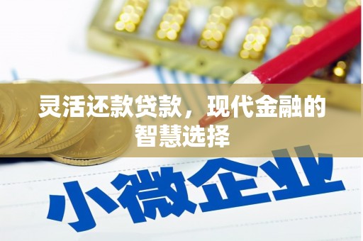 集美灵活还款贷款，现代金融的智慧选择