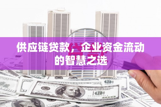 集美供应链贷款，企业资金流动的智慧之选