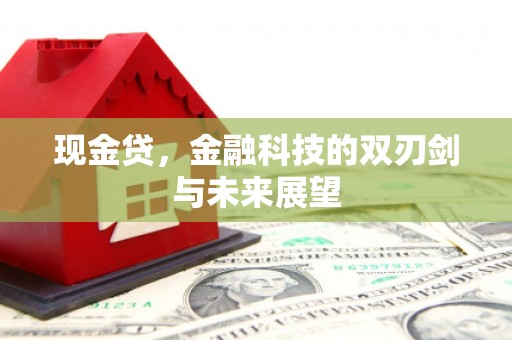 集美现金贷，金融科技的双刃剑与未来展望