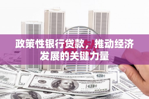 集美政策性银行贷款，推动经济发展的关键力量