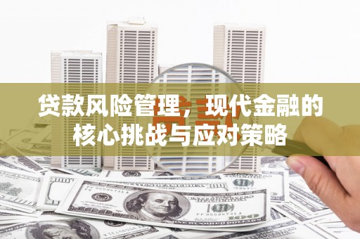 集美贷款风险管理，现代金融的核心挑战与应对策略