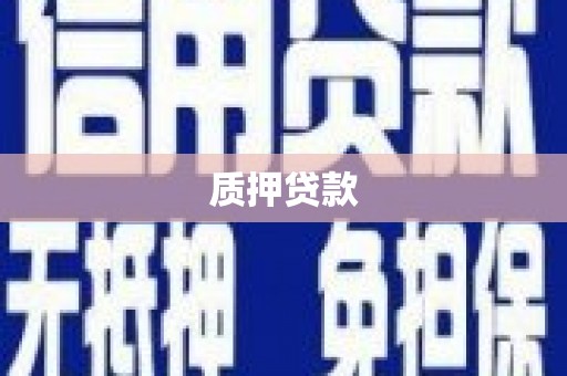 集美质押贷款