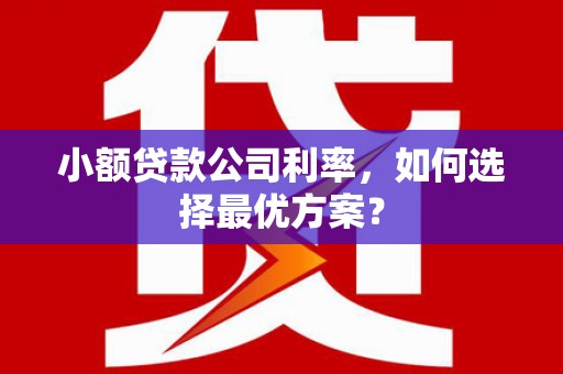 集美小额贷款公司利率，如何选择最优方案？
