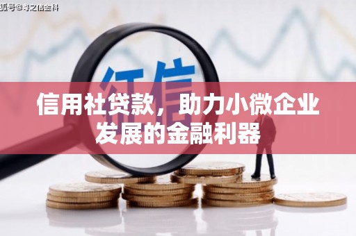 集美信用社贷款，助力小微企业发展的金融利器