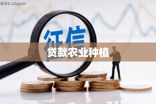 集美贷款农业种植