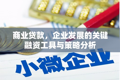 集美商业贷款，企业发展的关键融资工具与策略分析