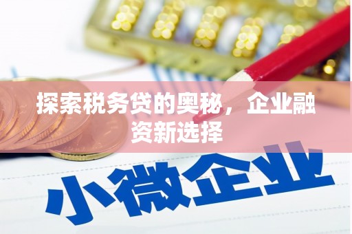 集美探索税务贷的奥秘，企业融资新选择