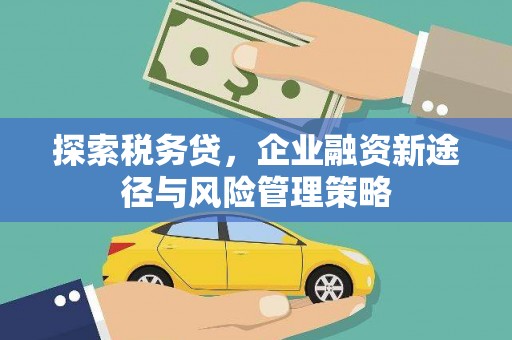 集美探索税务贷，企业融资新途径与风险管理策略
