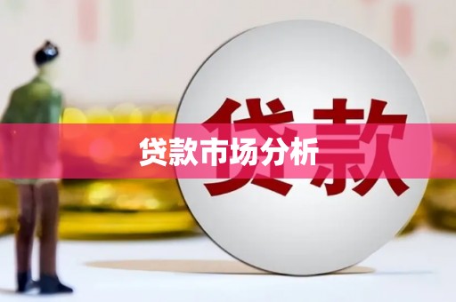 集美贷款市场分析