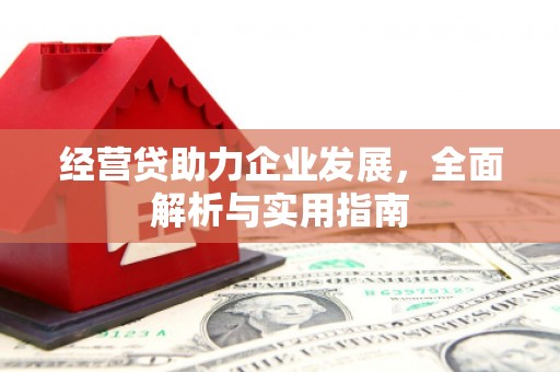 集美经营贷助力企业发展，全面解析与实用指南