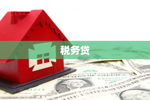 集美税务贷