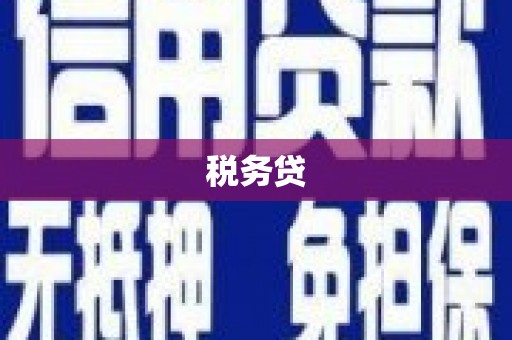 集美税务贷