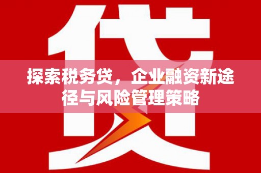 集美探索税务贷，企业融资新途径与风险管理策略
