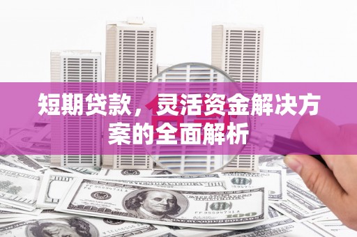 集美短期贷款，灵活资金解决方案的全面解析