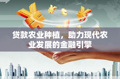 集美贷款农业种植，助力现代农业发展的金融引擎