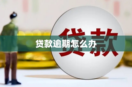 集美贷款逾期怎么办
