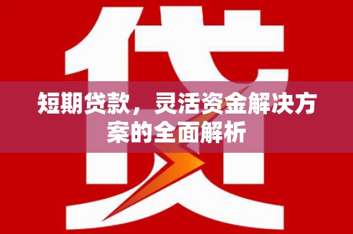 集美短期贷款，灵活资金解决方案的全面解析