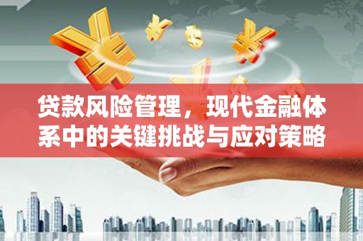 集美贷款风险管理，现代金融体系中的关键挑战与应对策略