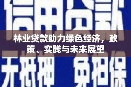 集美林业贷款助力绿色经济，政策、实践与未来展望