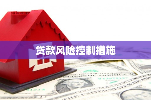 集美贷款风险控制措施
