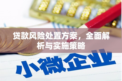 集美贷款风险处置方案，全面解析与实施策略