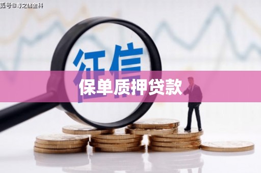 集美保单质押贷款