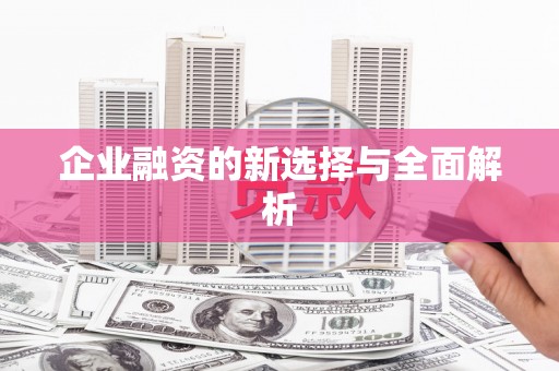 集美企业融资的新选择与全面解析