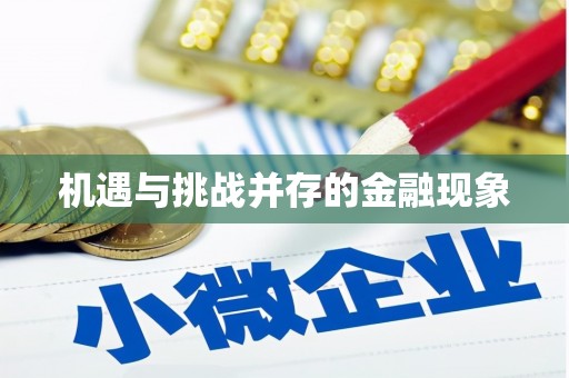 集美机遇与挑战并存的金融现象