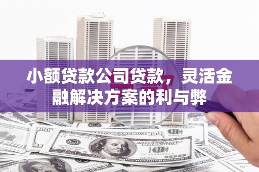 集美小额贷款公司贷款，灵活金融解决方案的利与弊