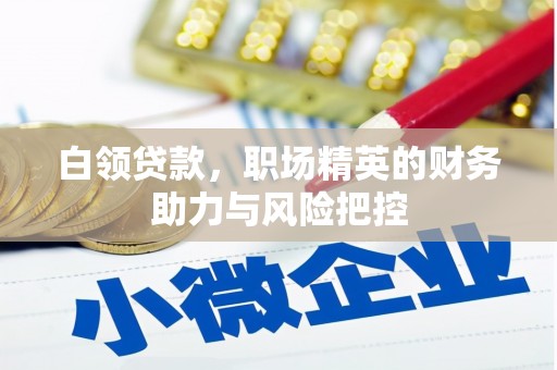 集美白领贷款，职场精英的财务助力与风险把控