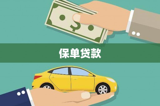 集美保单贷款